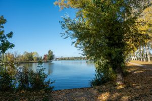 commande du CCVHS communauté de commune de la vallée de la haute Sarthe. DG de la CCVHSEmma Richard Richard