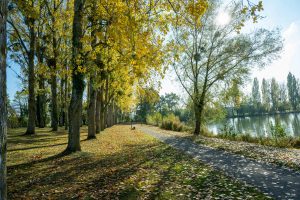 commande du CCVHS communauté de commune de la vallée de la haute Sarthe. DG de la CCVHSEmma Richard Richard