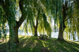 commande du CCVHS communauté de commune de la vallée de la haute Sarthe. DG de la CCVHSEmma Richard Richard