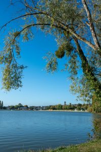 commande du CCVHS communauté de commune de la vallée de la haute Sarthe. DG de la CCVHSEmma Richard Richard